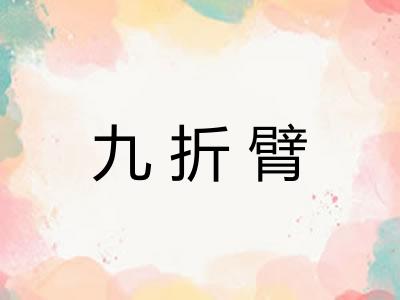 九折臂