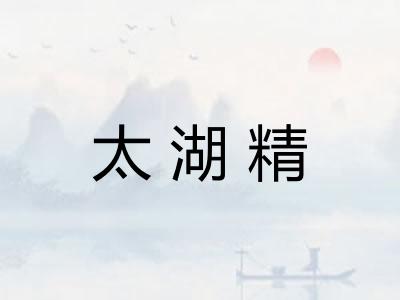 太湖精
