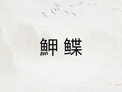 魻鲽