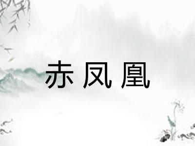赤凤凰