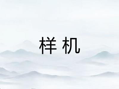 样机