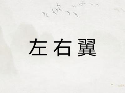 左右翼