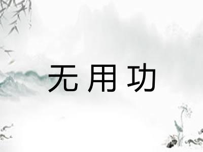 无用功
