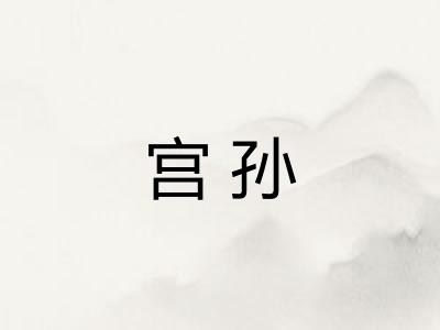 宫孙