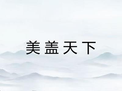 美盖天下
