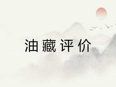 油藏评价