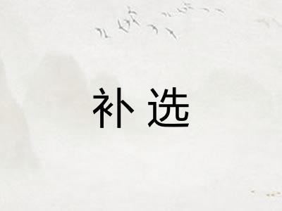 补选