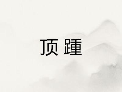 顶踵