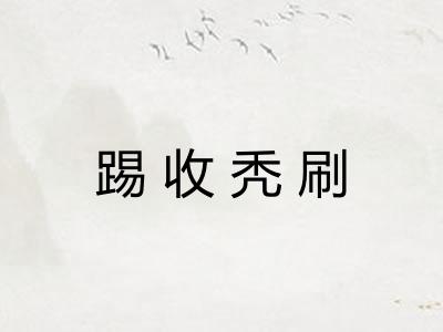 踢收秃刷