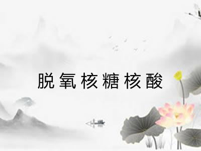 脱氧核糖核酸