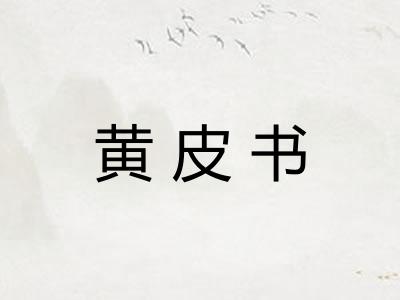 黄皮书