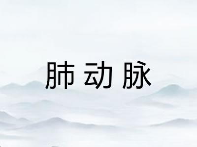 肺动脉