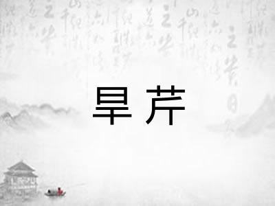 旱芹