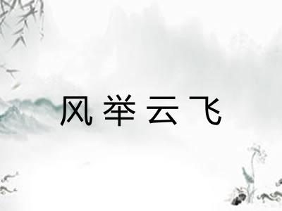 风举云飞