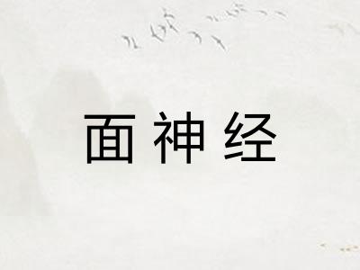 面神经