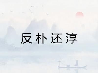 反朴还淳