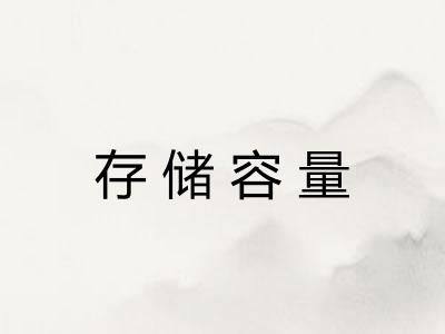 存储容量