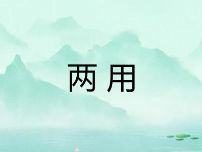两用