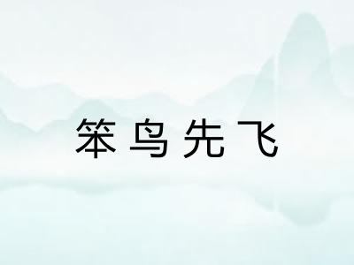 笨鸟先飞