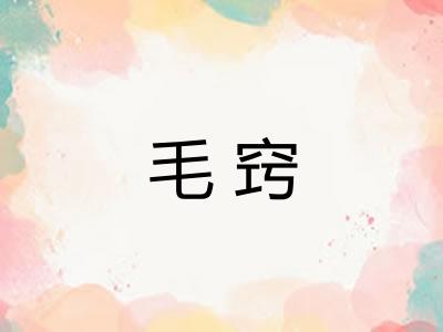 毛窍