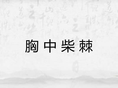 胸中柴棘