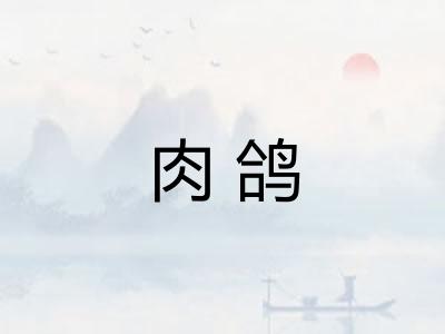 肉鸽