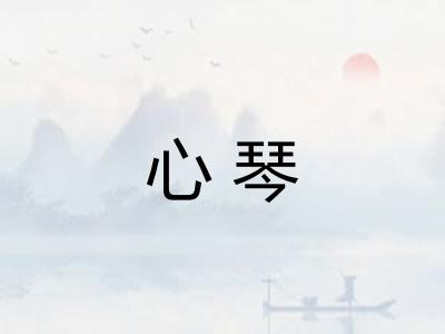 心琴