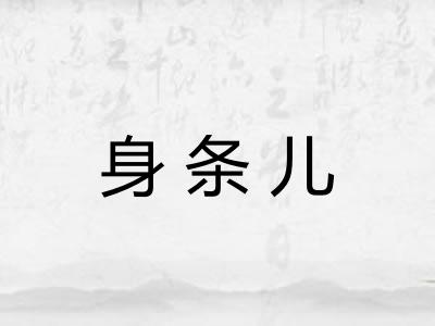 身条儿