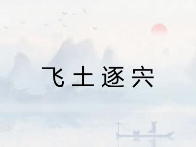 飞土逐宍