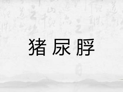 猪尿脬