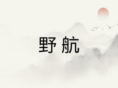 野航