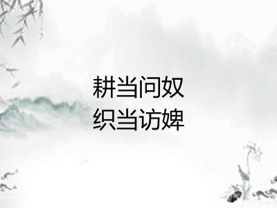 耕当问奴织当访婢