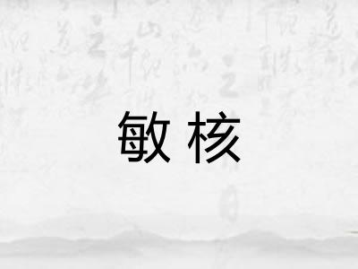 敏核