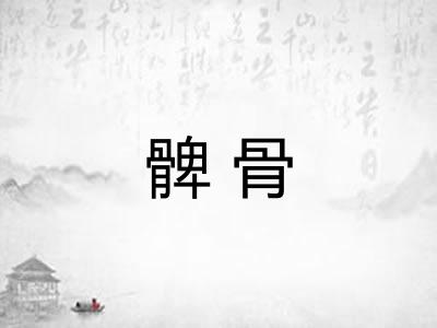 髀骨