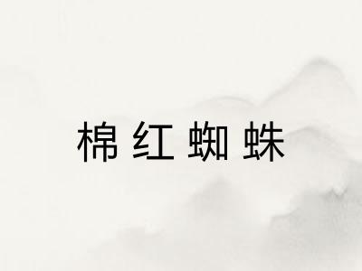 棉红蜘蛛