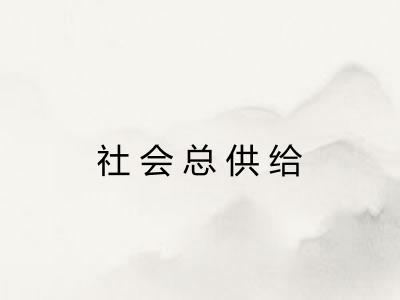 社会总供给