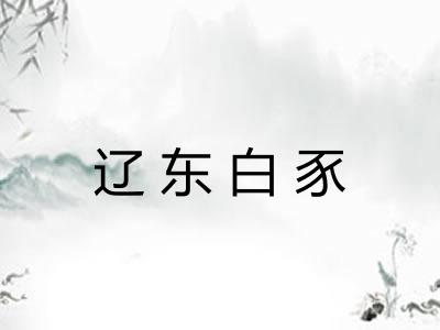 辽东白豕