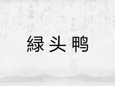 緑头鸭