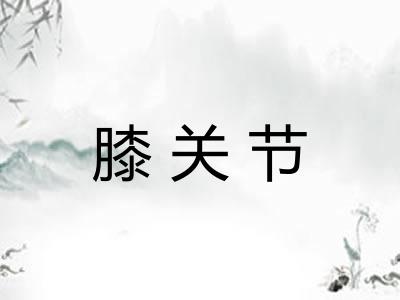 膝关节
