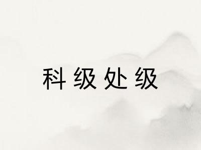 科级处级