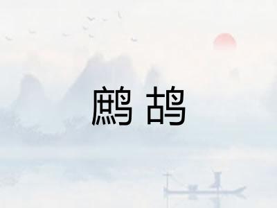 鹧鸪