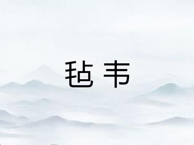 毡韦