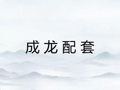 成龙配套