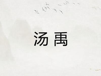 汤禹