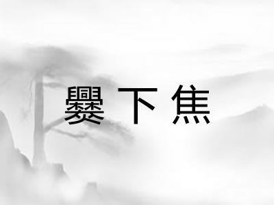 爨下焦