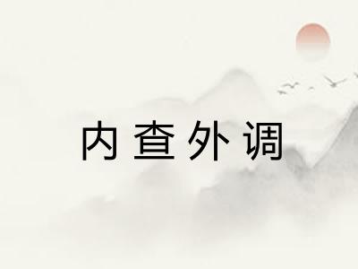 内查外调