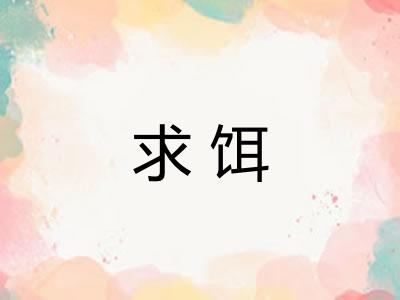 求饵