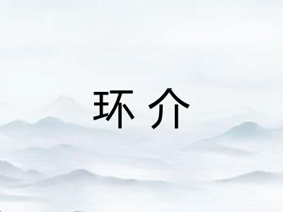 环介