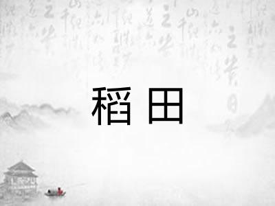 稻田
