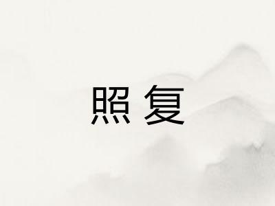照复